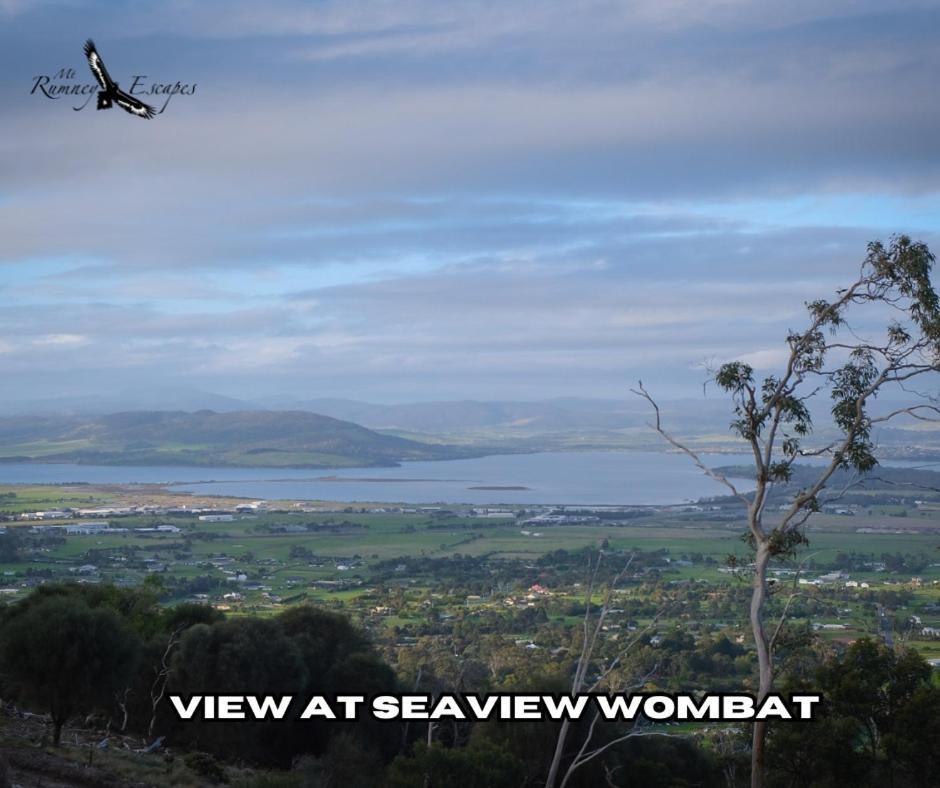 Mount Rumney Escapes - 3 Seaview Wombat House Exterior foto
